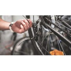 Set 7pz Chiave XZN Brugola Torx Chiave Maschio Stella 12 Facce M5-M12 ST-7DMXL -Negozio al dettaglio Ks Tools || No name || Beta 9954042 3